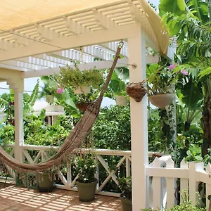 Tropical Garden Antigua St. John's